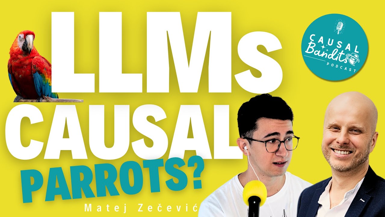 Matej Zečević On Causality In AI: Can LLMs Really Get It? Ep 0 | CausalBanditsPodcast.com