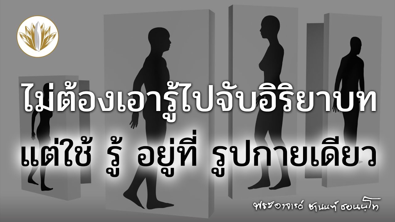 ไม่ต้องเอารู้ไปจับอิริยาบทที่เคลื่อนไหว แต่ใช้ รู้ อยู่ที่ รูปกายเดียวนี้ง่ายกว่า 24.03.2566