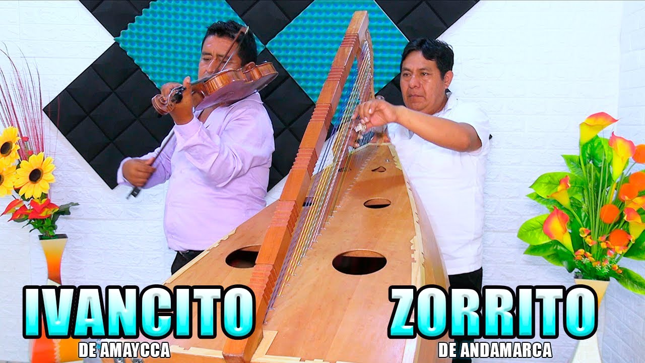 Jarana Arpa y Violín Con IVANCITO de Amaycca  & ZORRITO de Andamarca 🎻🎵