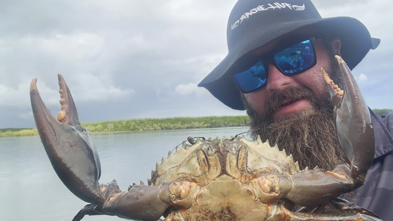 Fishing Comp Recon Mission - Catching Mud Crabs in a New Creek #mudcrab