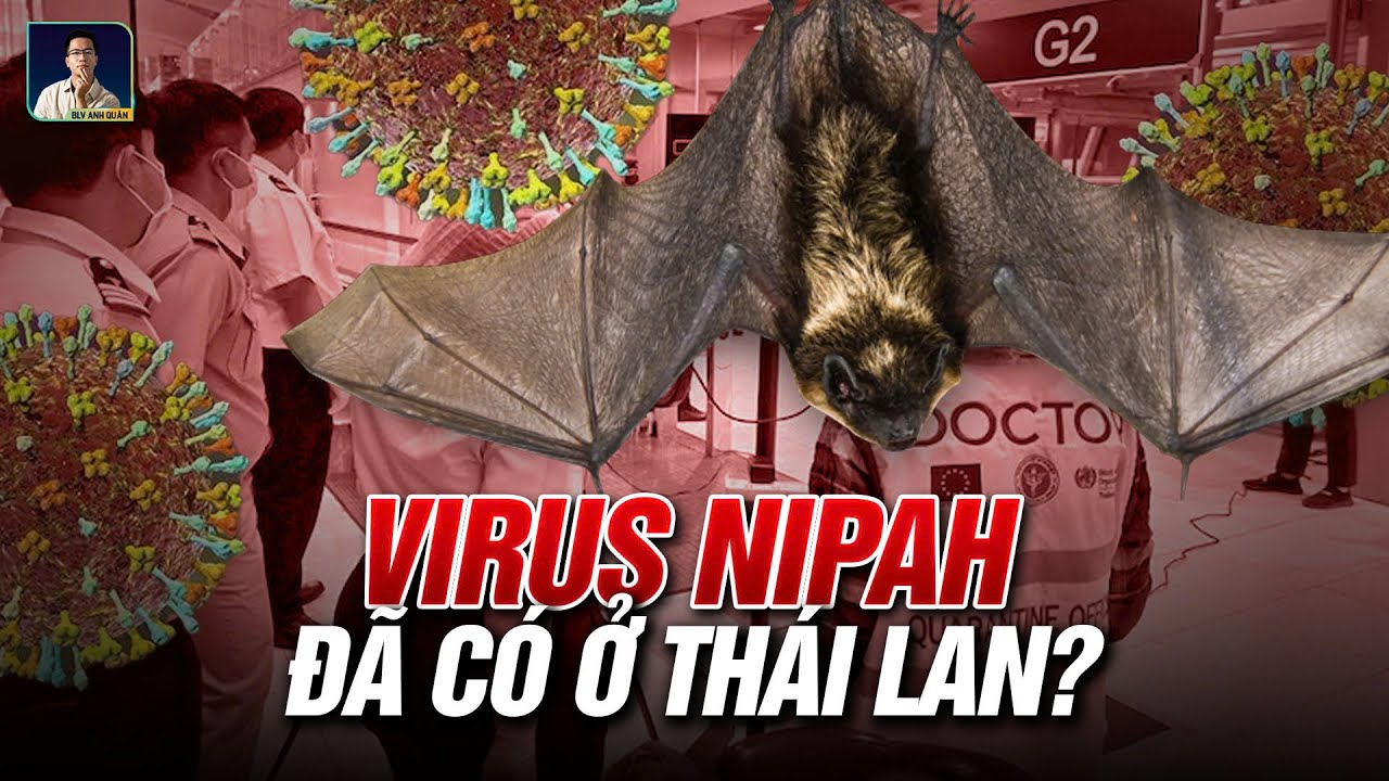 LOÀI DƠI MANG VIRUS NIPAH XUẤT HIỆN Ở THÁI LAN: NGUY CƠ LAN RỘNG VẪN CÒN ĐÓ ?