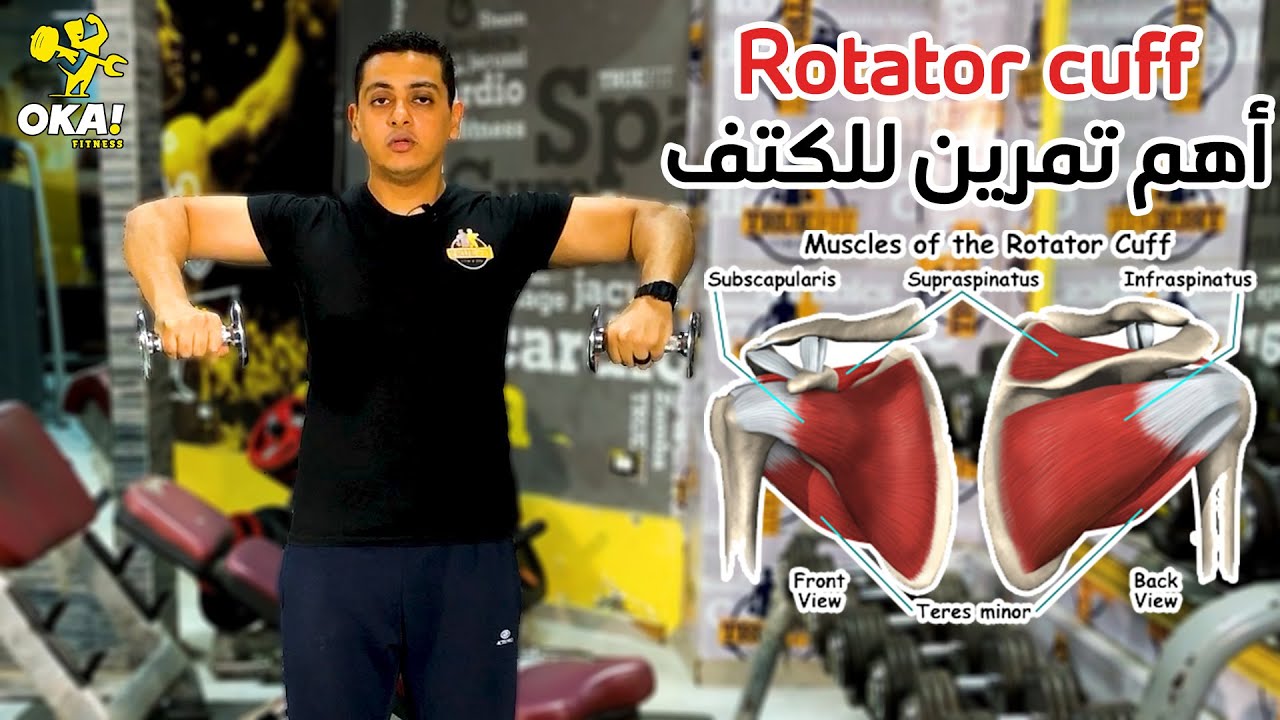 Rotator cuff | أهم تمرين للكتف