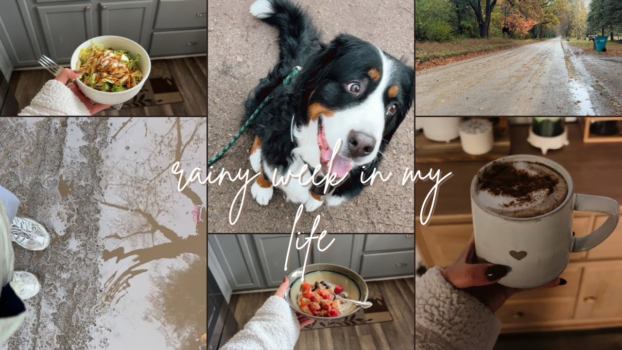 Fall Week in My Life | Cozy Vlog, Work From Home & Autumn Walks