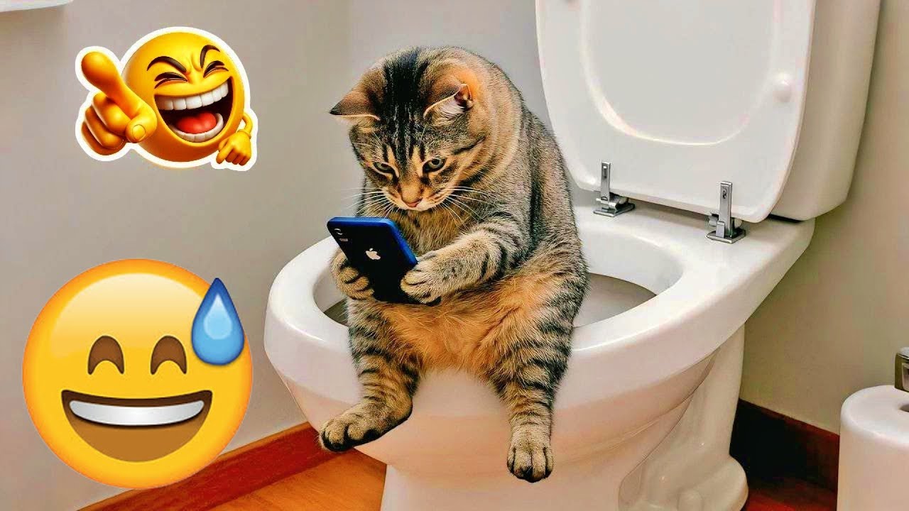 You Can’t Stop Laughing At These Pets 🤣 | Funniest Cats & Dogs 2026 😂 #funny_videos #animals