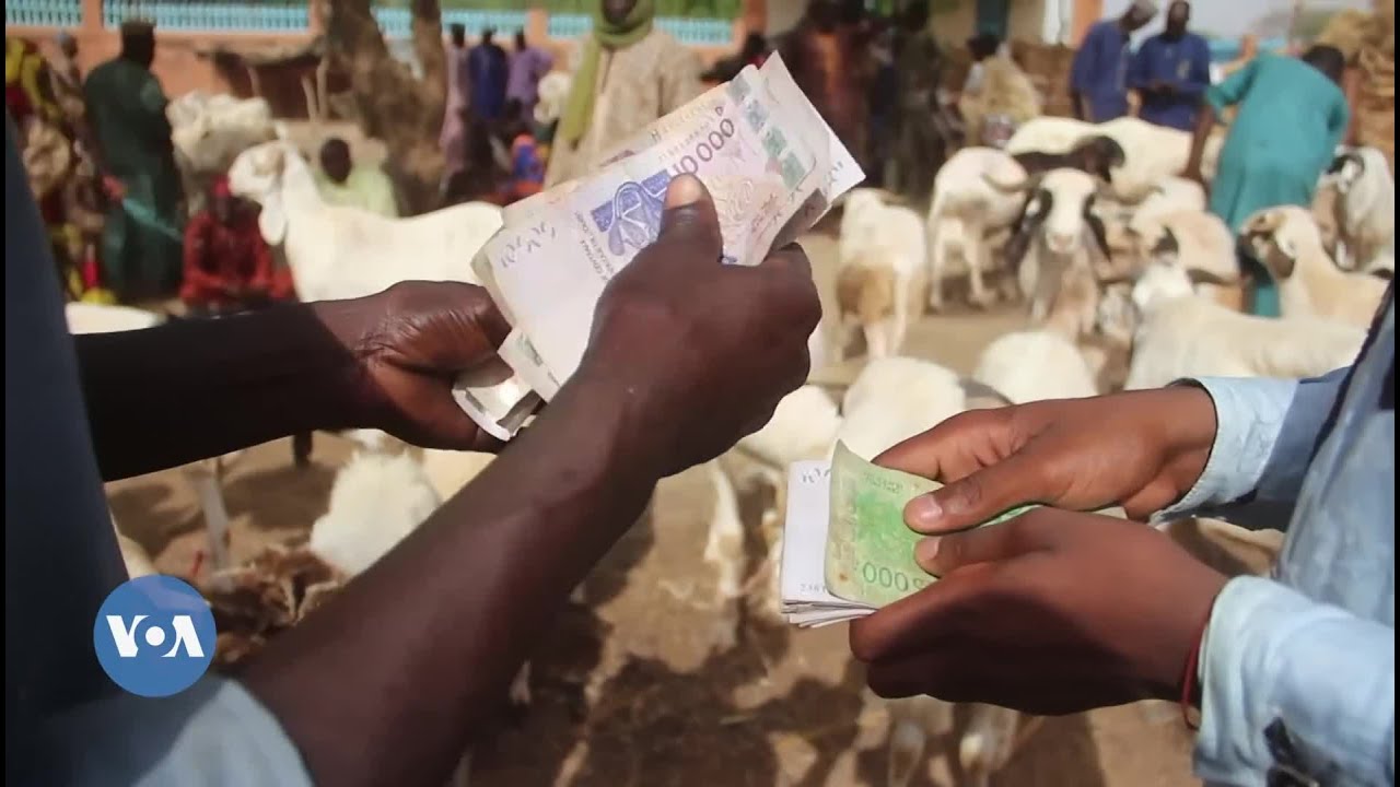Yadda Ake Gudanar Da Kasuwancin Dabbobi a Nijar