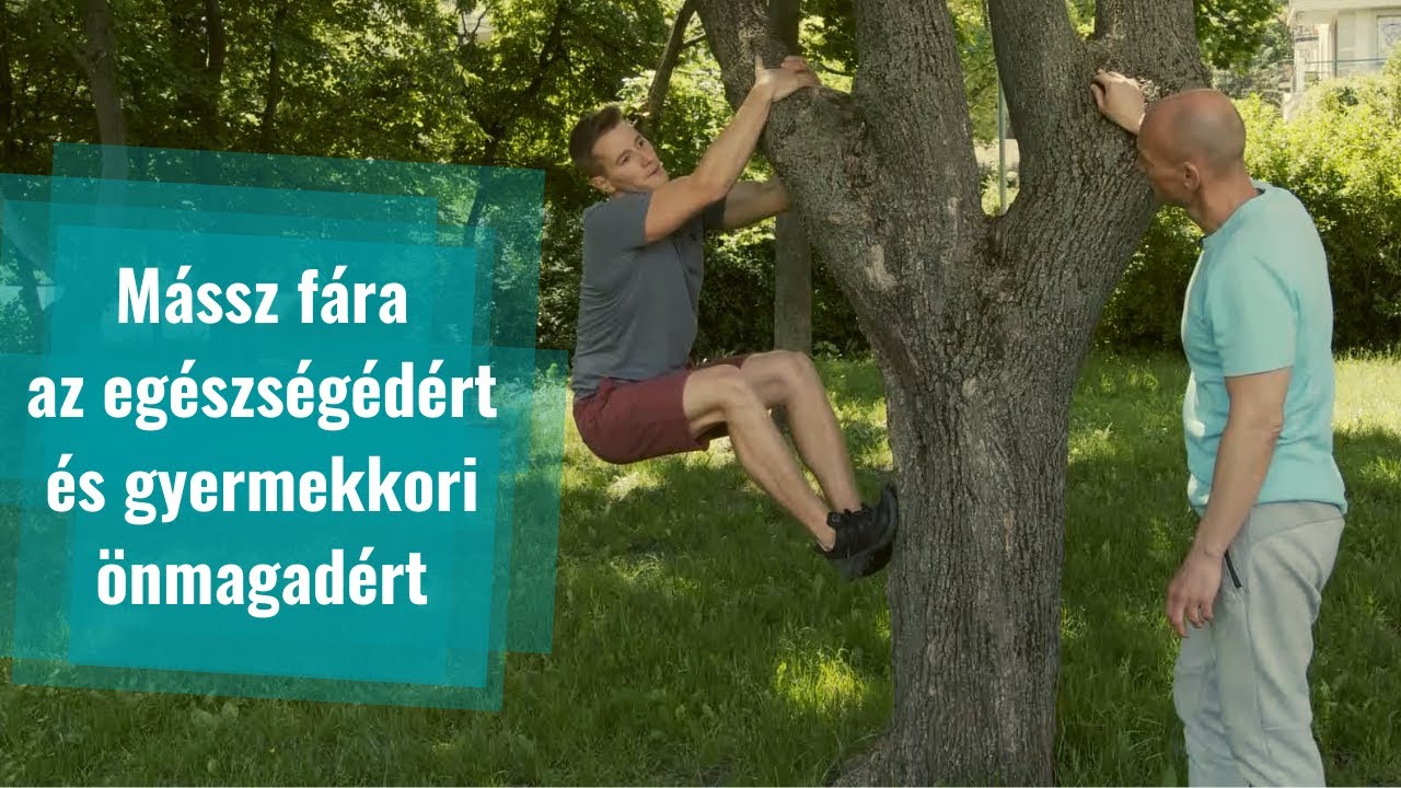 Fára mászás, mint fitnesz mozgásforma Gaál Attilával - M4 Sport Szabadido Magazin 232 adás