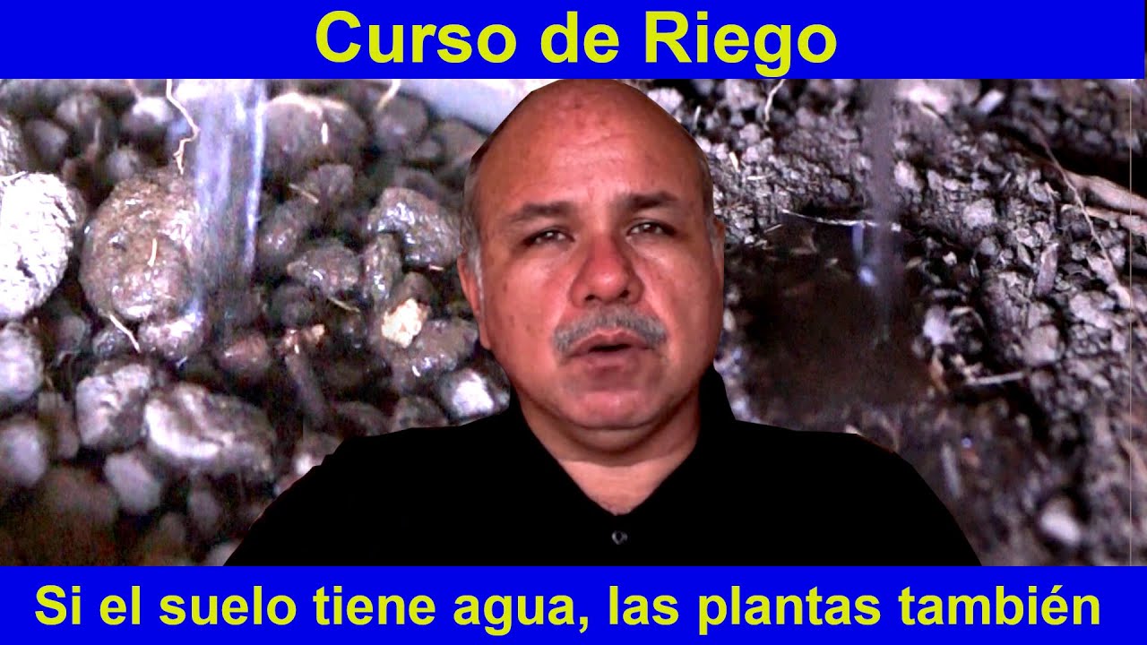 El SECRETO para que el suelo tenga más agua para las plantas y aprovechar mejor el riego.