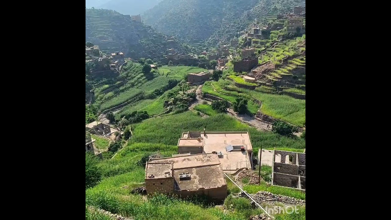 صور من القبيطه  2 ذكرا القباطي
