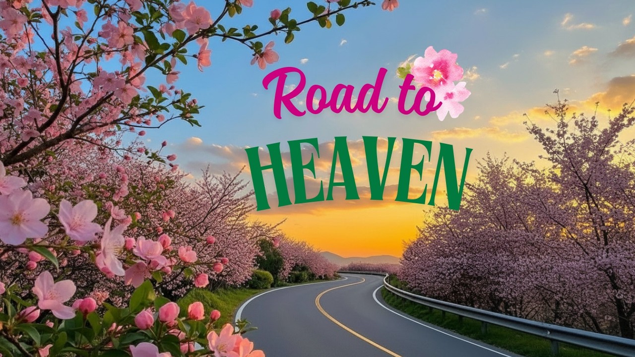 A Path to Peace  🌸4 Hours 🌸 of Zen Nature Spring Ambience  Road to Heaven