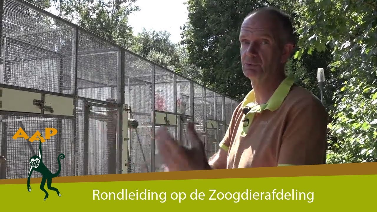 Een kijkje op de Zoogdierafdeling! - Stichting AAP