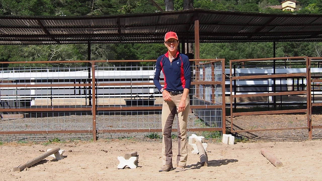 Ground Poles for Horse Rehab