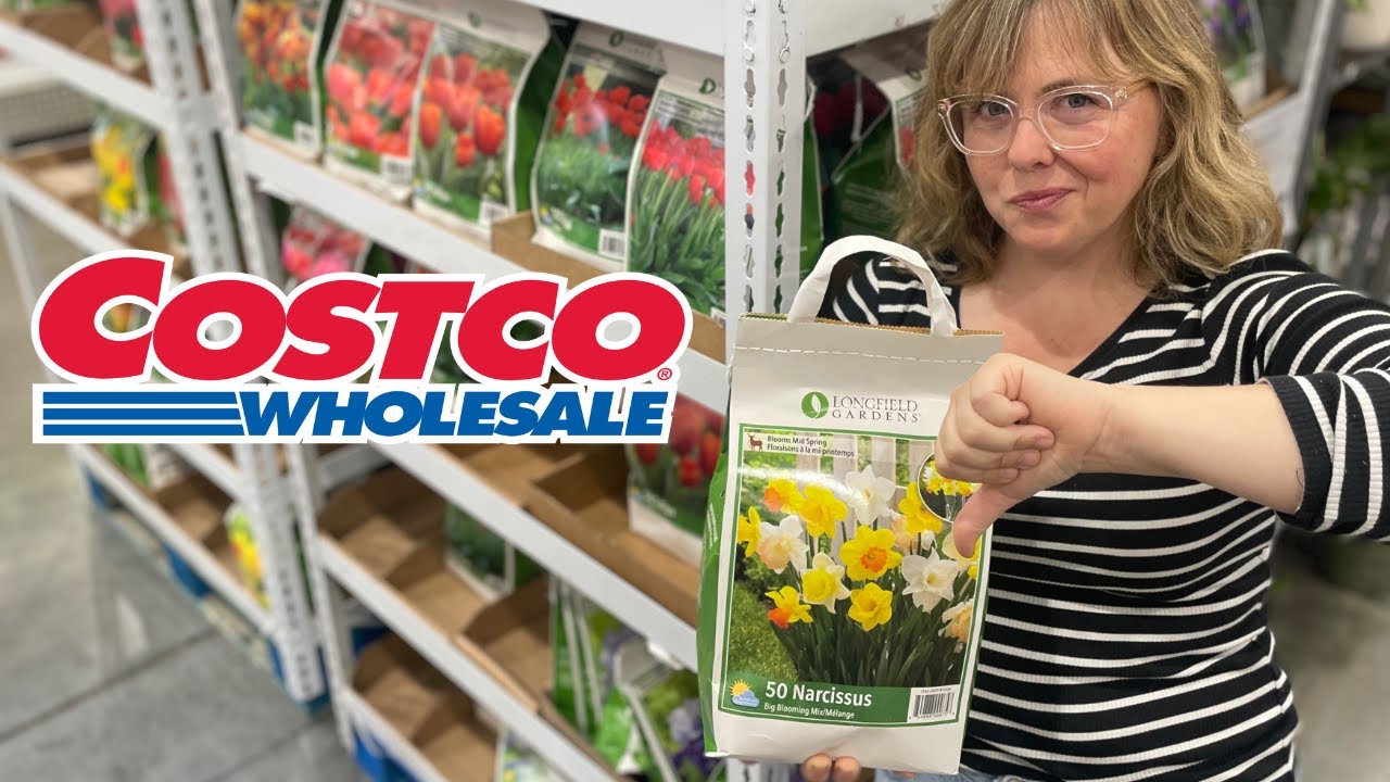 I Almost Didn’t Make This Video | Costco Fall Bulbs 2025 🌷 Honest Review