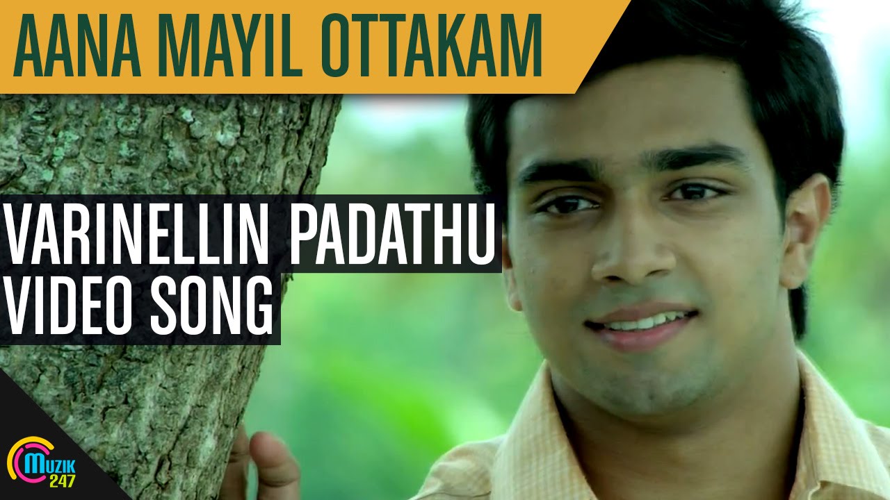 Aana Mayil Ottakam | Varinellin Padathu Song Video | Official