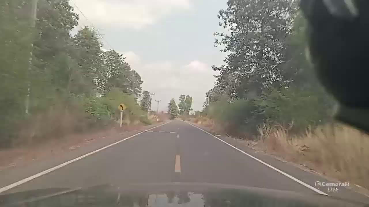 อาหารช้างราคาส่ง ส่งทุกที่🐘🌿🍌🌽🍉🙏🐘