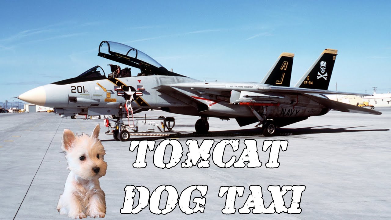F-14 TOMCAT Dog Taxi | Mover Clips