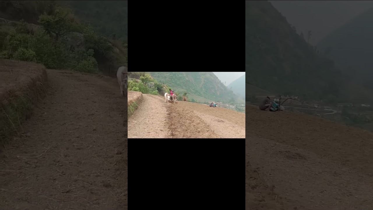 sukoon ❤️⛰️ #viral #life #uttarakhand #kumauni