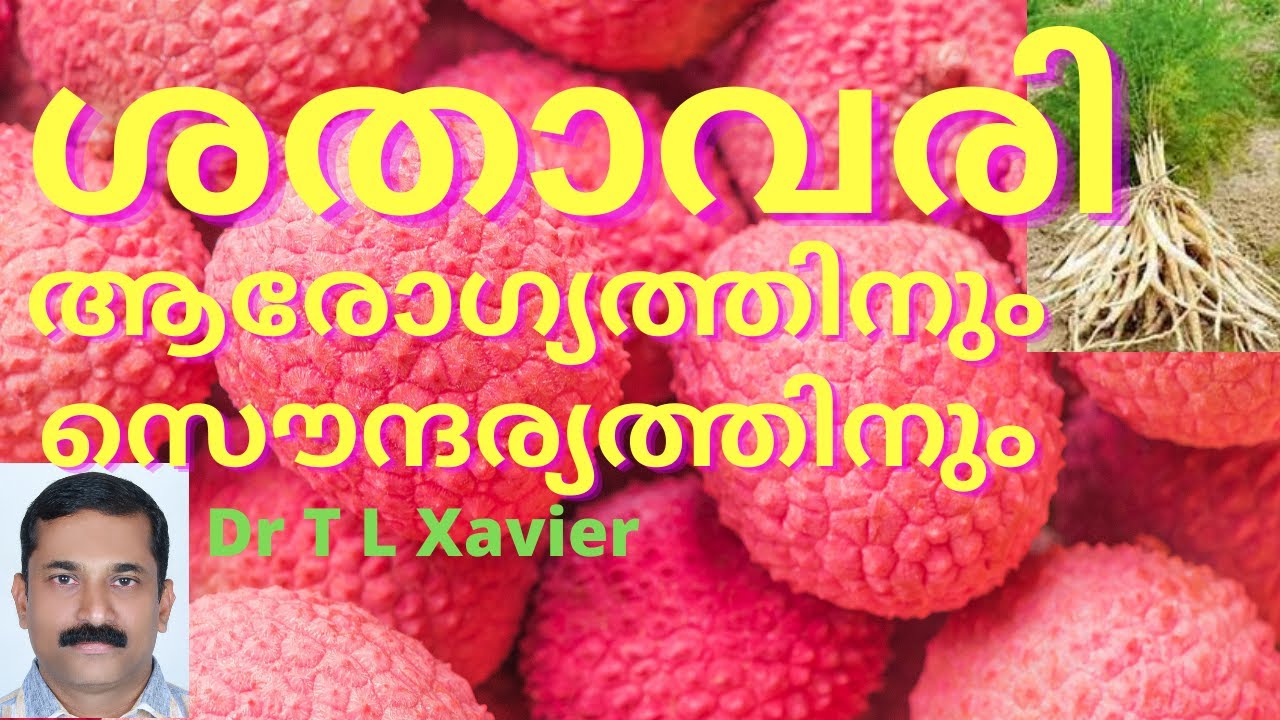 Benefits of Sathavari - Does It Really Work? | Dr T L Xavier