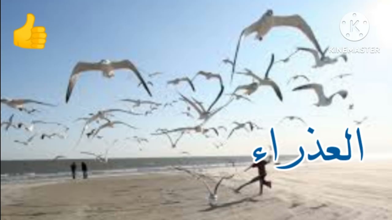 برج العذراء.. الصفحه البيضه.. عدو ضعيف وعدو قوي.. ‼️😂🤗