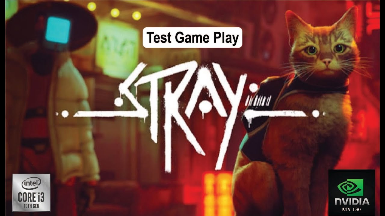 STRAY Performance Review | i3-1005G1 | VGA MX130
