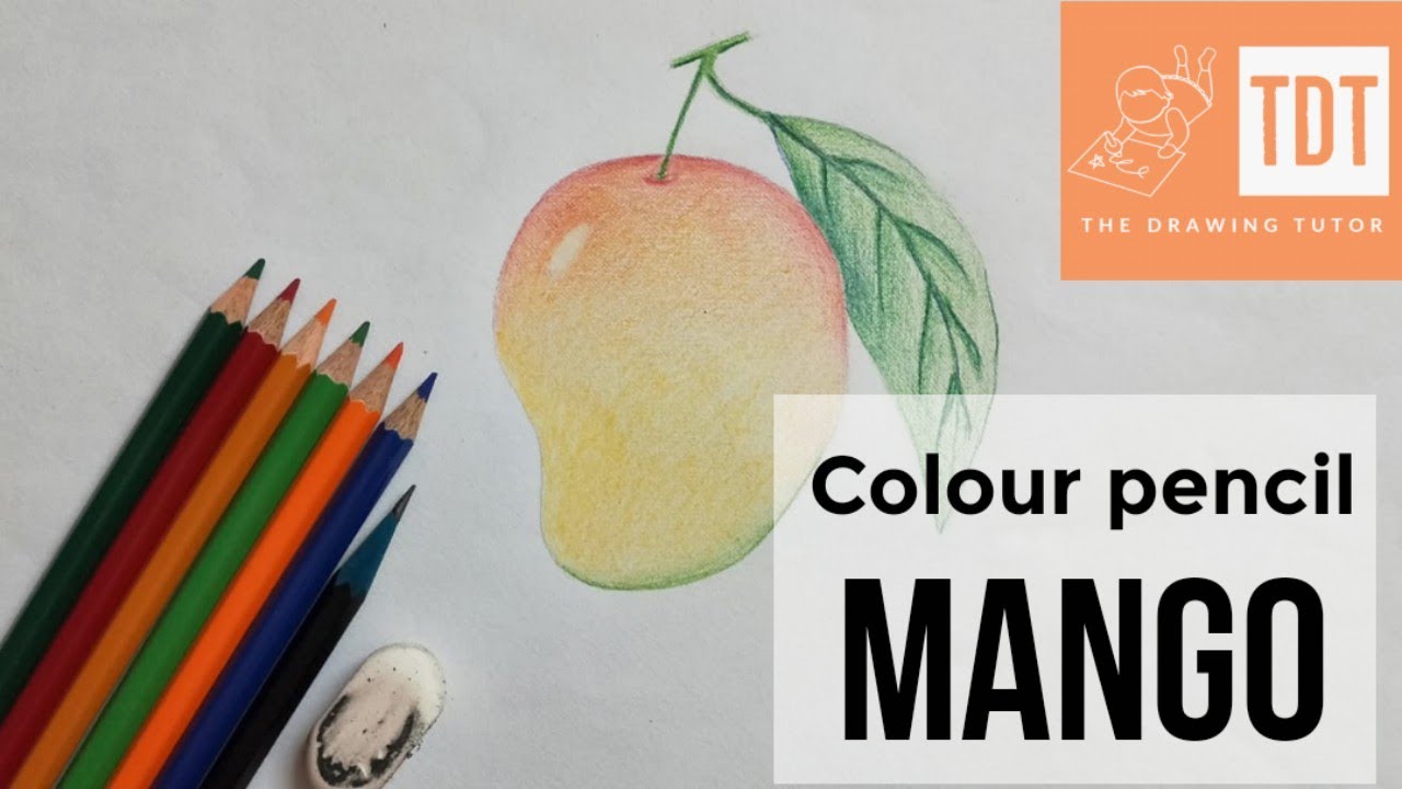 How to draw Mango with Colour pencil #art #colourpencil #pencilart #onlinedrawingclass #mangodrawing