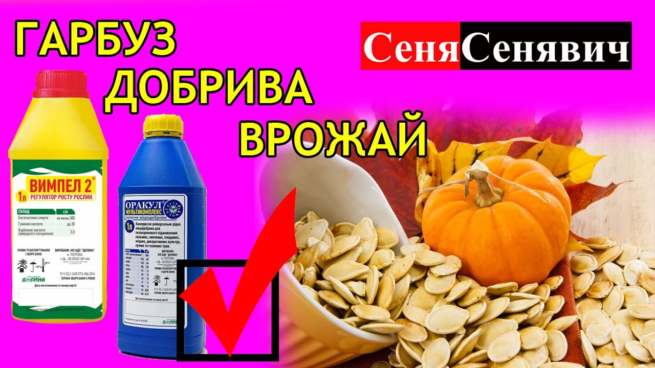 Які добрива використовувати для посіву гарбуза, їх ціна, або 