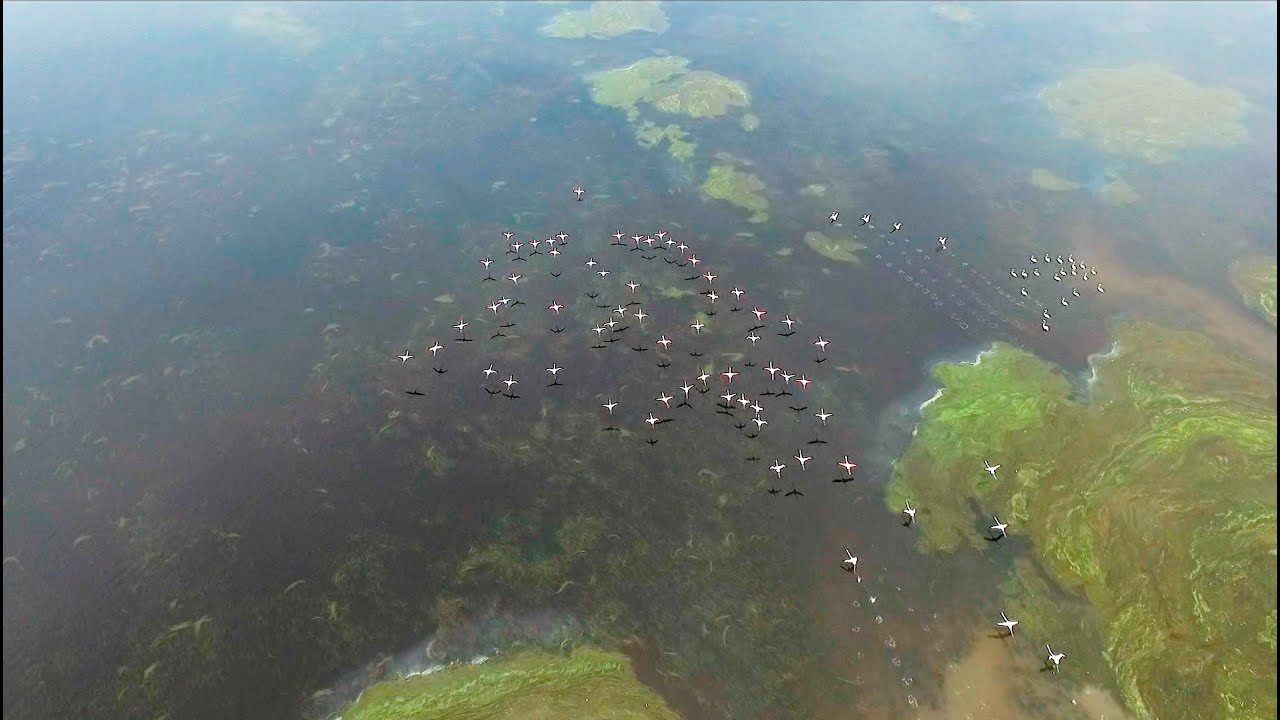 Laguna e Nartës - cikli i reportazheve 