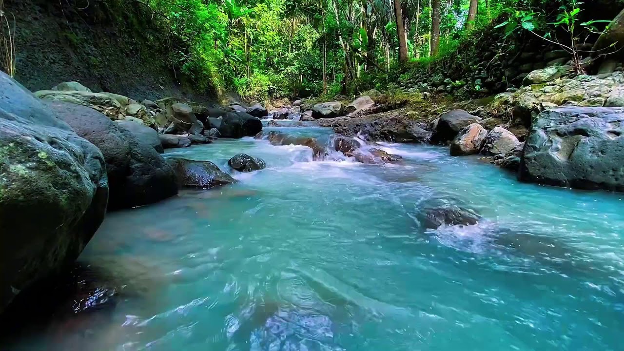 Forest River Night Flow, Mountain Stream Sounds, Sleep