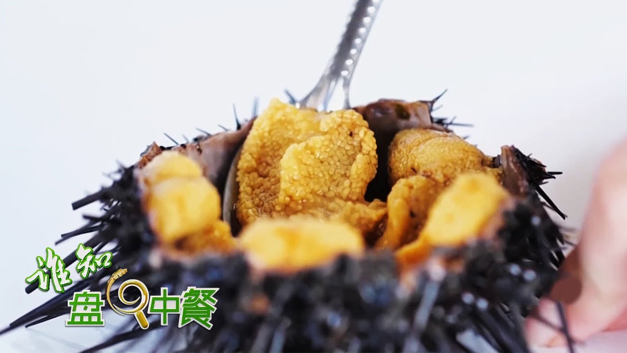 海洋独赐的“带刺儿珍馐”！怎么开海胆？怎么吃海胆？最全“海胆攻略”请收好 | 「谁知盘中餐」20210722