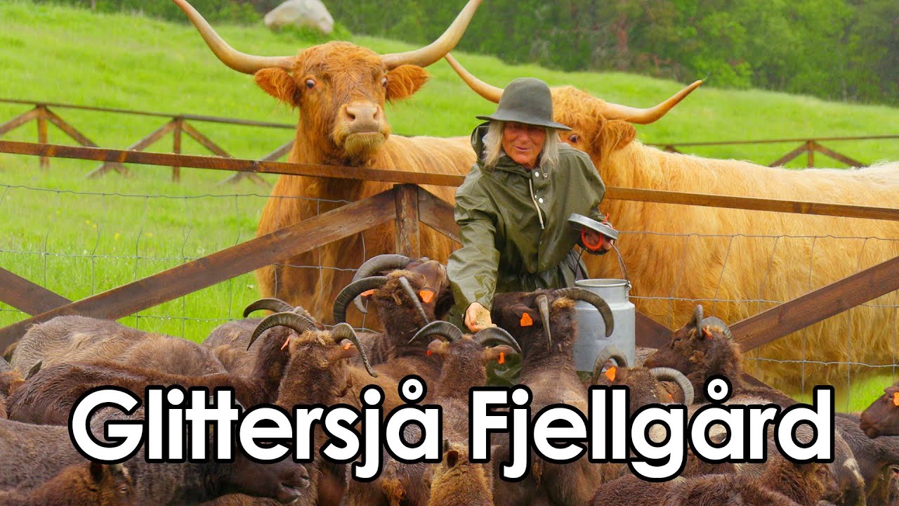 Glittersjå Fjellgård | Gudbrandsdal | Jotunheimen
