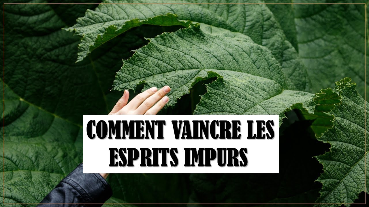 COMMENT VAINCRE LES ESPRITS IMPURS