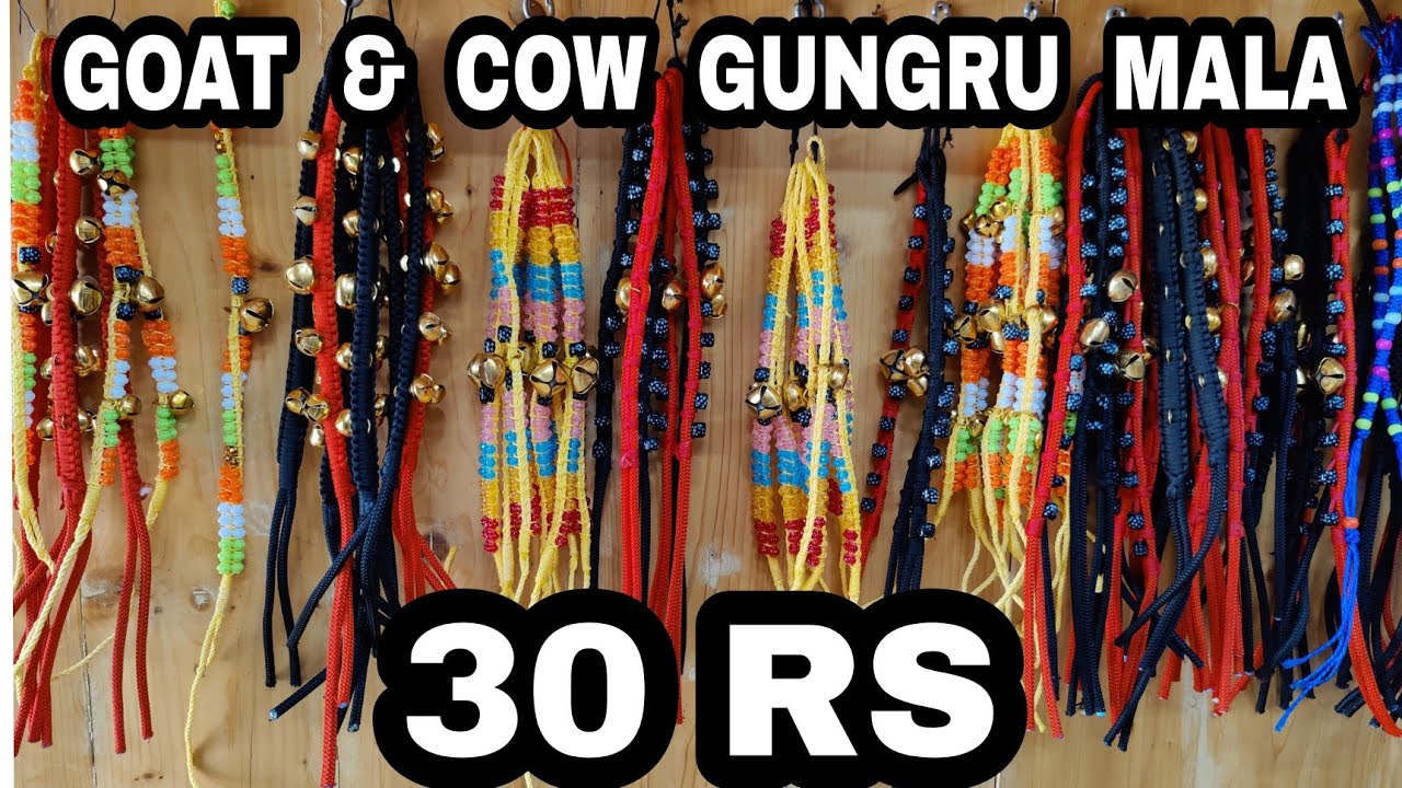 Goat & cow gungru mala /goat decoration accessories /goat belt with ghungroos/ All india delivery.