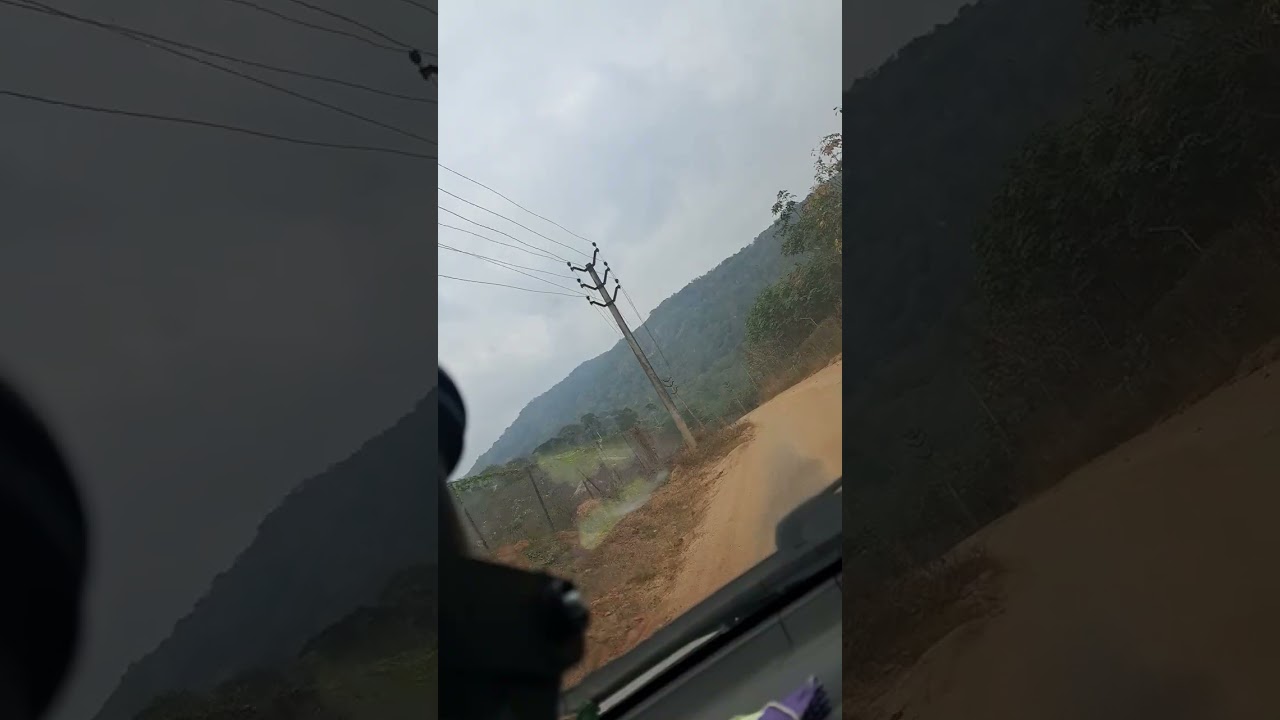 #folowers everyone #viralvideos #Forest #travelling  പേച്ചിപറ കോതയാർ ഫോറെസ്റ്റ് 🦣🦣🦣💐തമിഴ്നാട് ടുറിസം