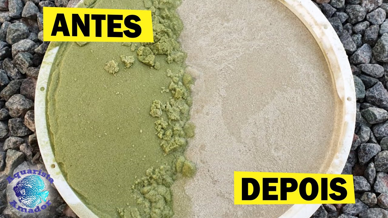 COMO LIMPAR AREIA DO LAGO - O VÍDEO MAIS ESPERADO DO ANO