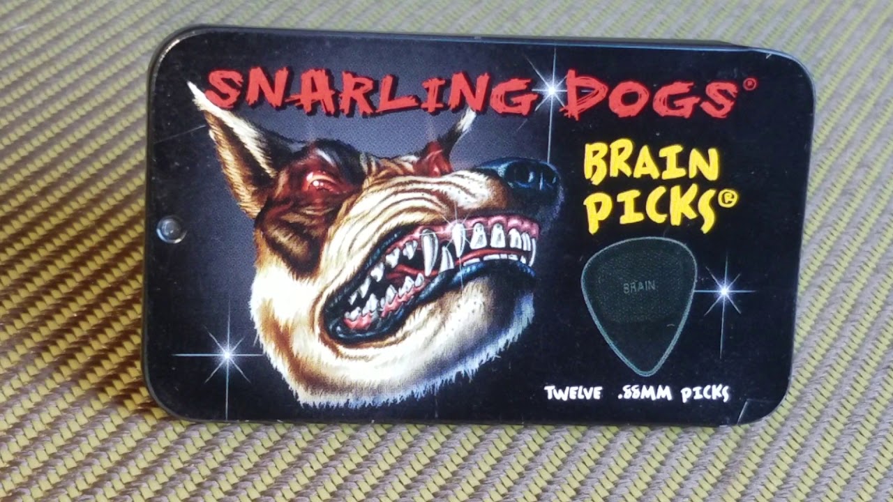 Snarling Dogs Brain Picks! Guitar pick review