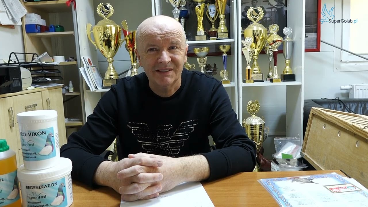 Wiesław Ragus   Jak przygotować gołębie do parowania