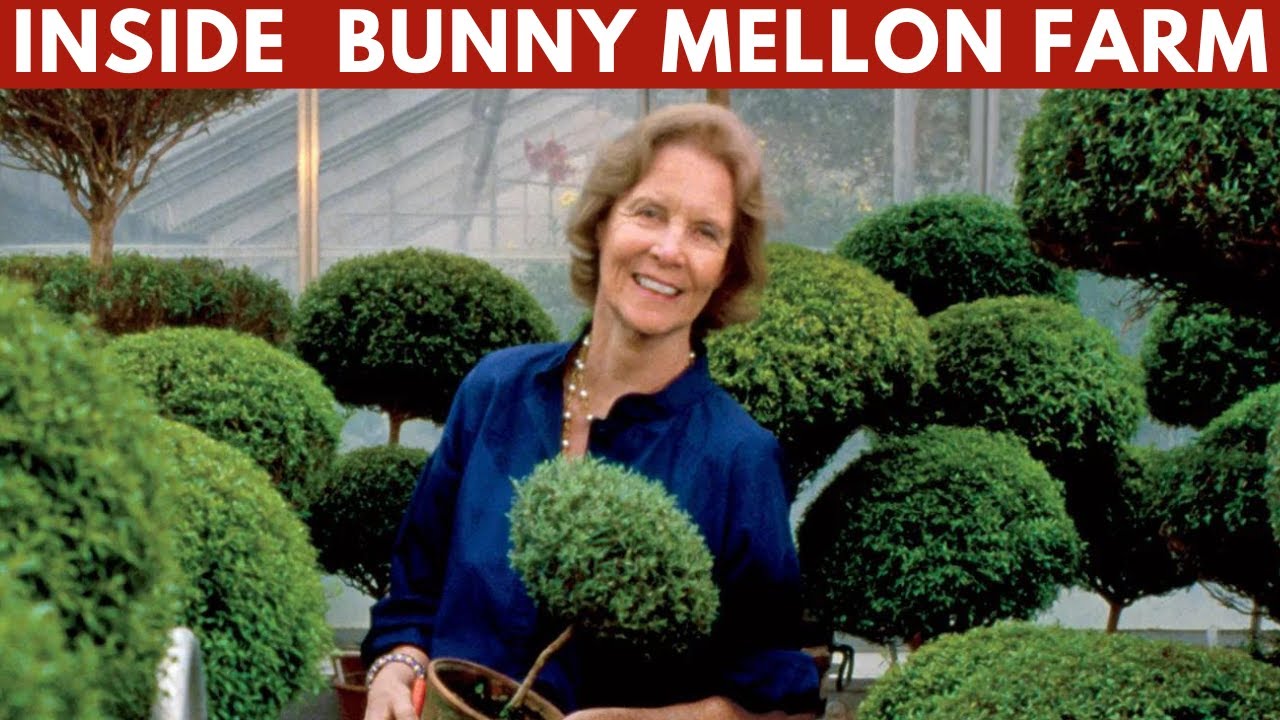 The SHOCKING Truth About Bunny Mellon's Oak Spring Farm Estate Interior