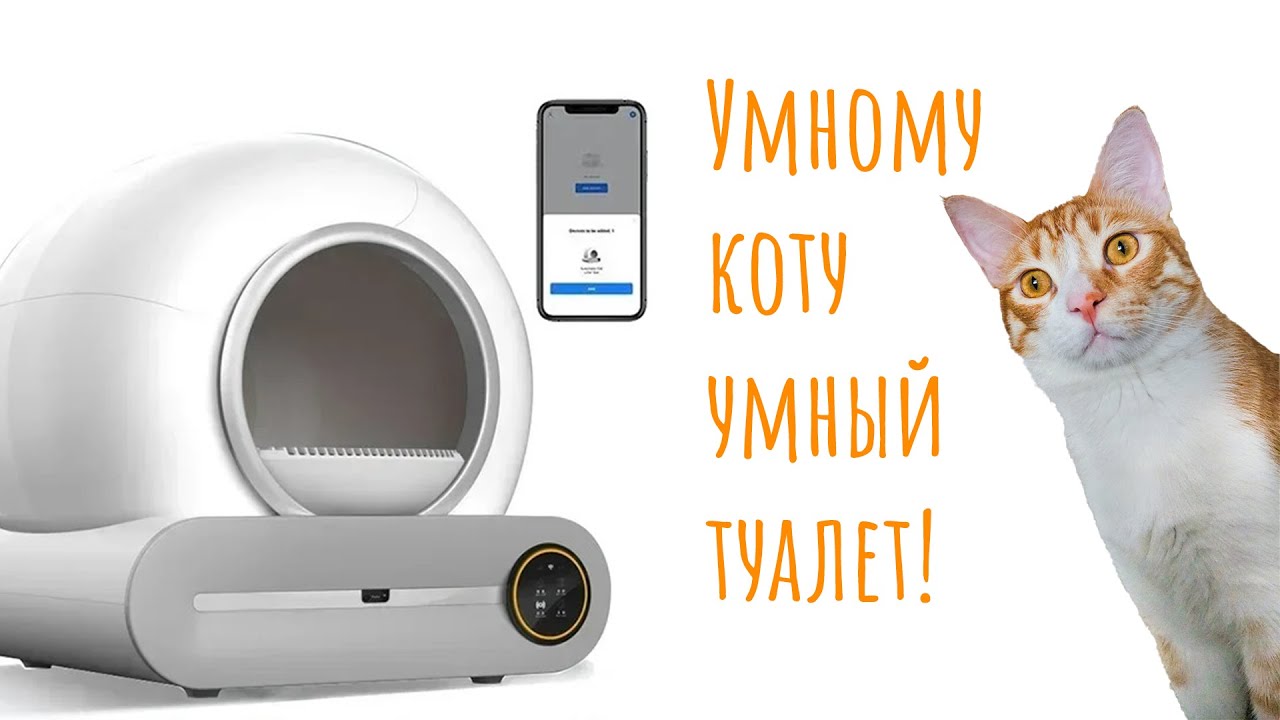 Умному коту умный туалет!