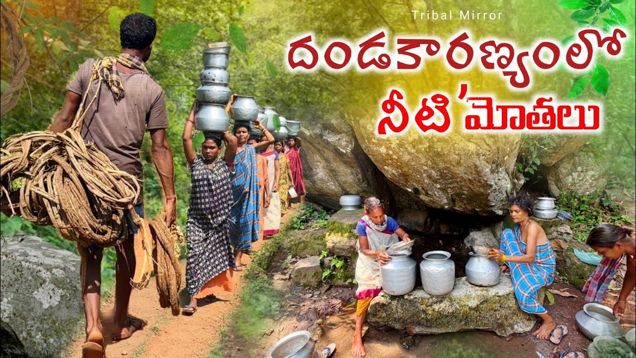 కొండవాలులో నీటిదార //How Tribals bring life-saving Water from Dency forest@TribalMirror