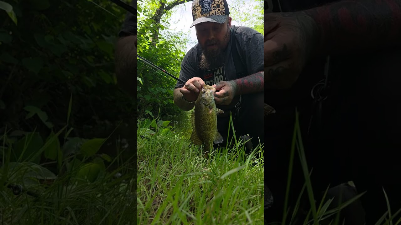 small mouths in Pennsylvania 