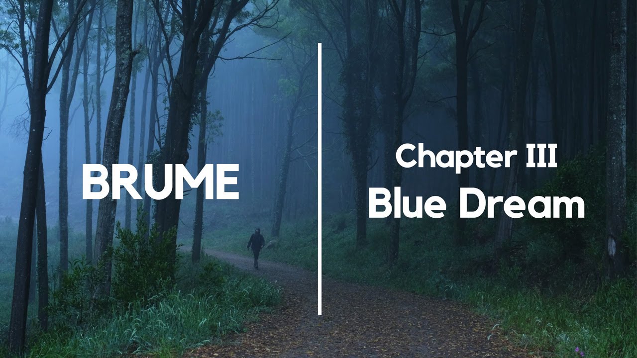 BRUME | Chapter III | Woodland photography lost in a storm