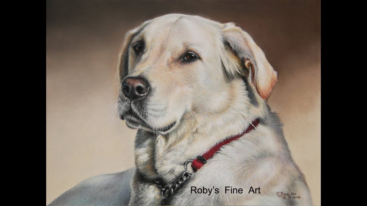 Pastel Painting Demonstration-Labrador Retriever by Roberta 