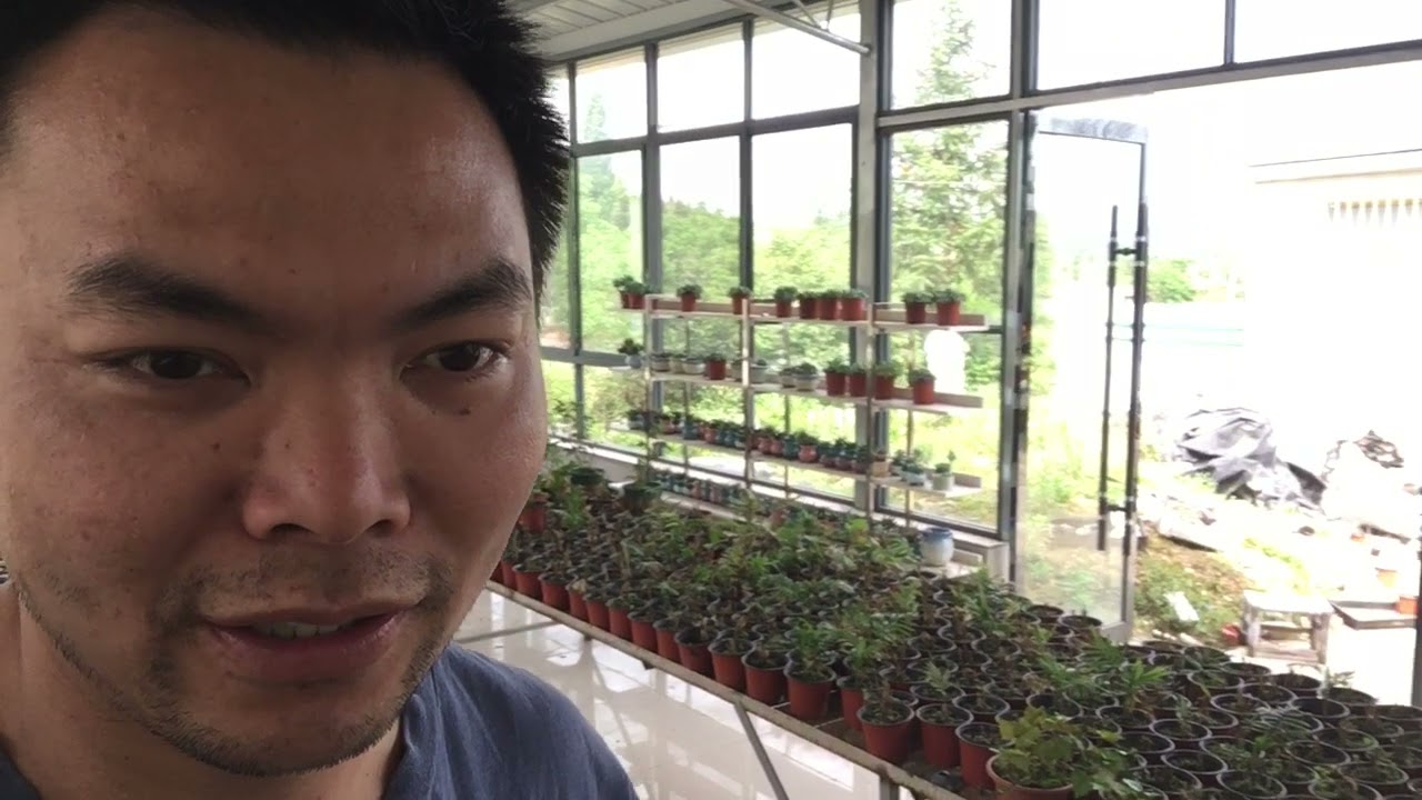 农村创业的少年，虽然没有实现小目标，也还悠然自得