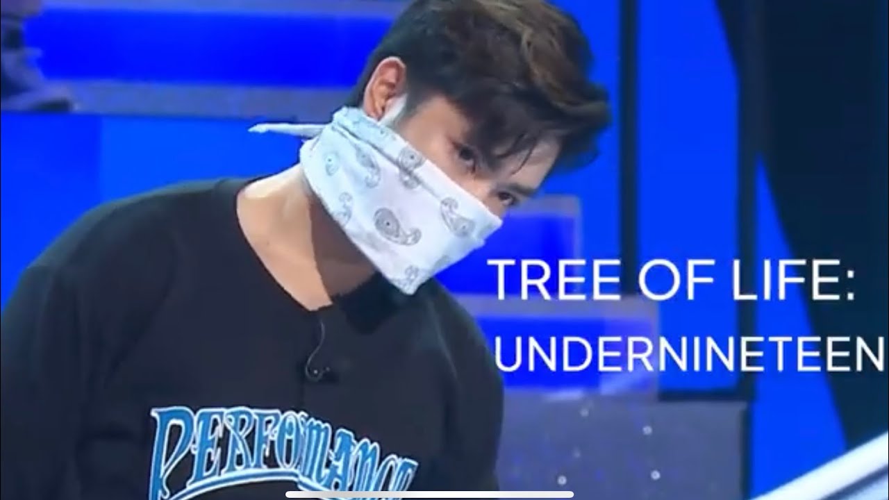 THE UNDERNINETEEN STORY (UNDER19) | TREE OF LIFE