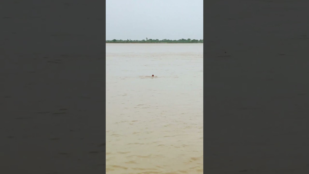 Swimming at Guptar Ghat Ayodhya 😍 #shorts