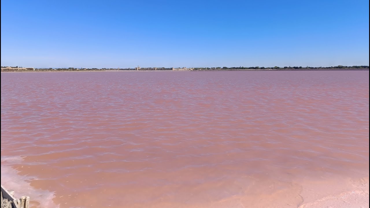 AIGUES MORTES   LES SALINS  DU MIDI   GRAU DU ROI 2024 04 19