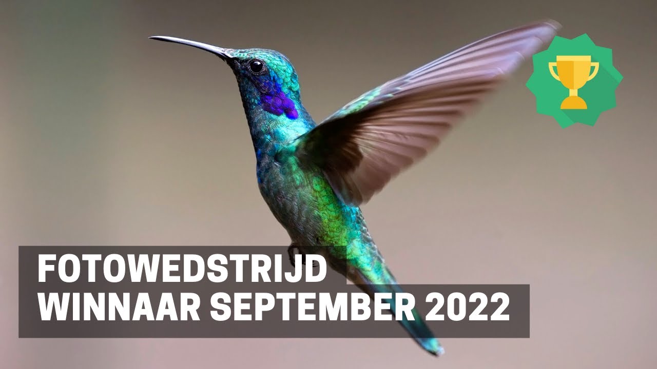 WINNAAR FOTOWEDSTRIJD - September 2022 Thema Natuur