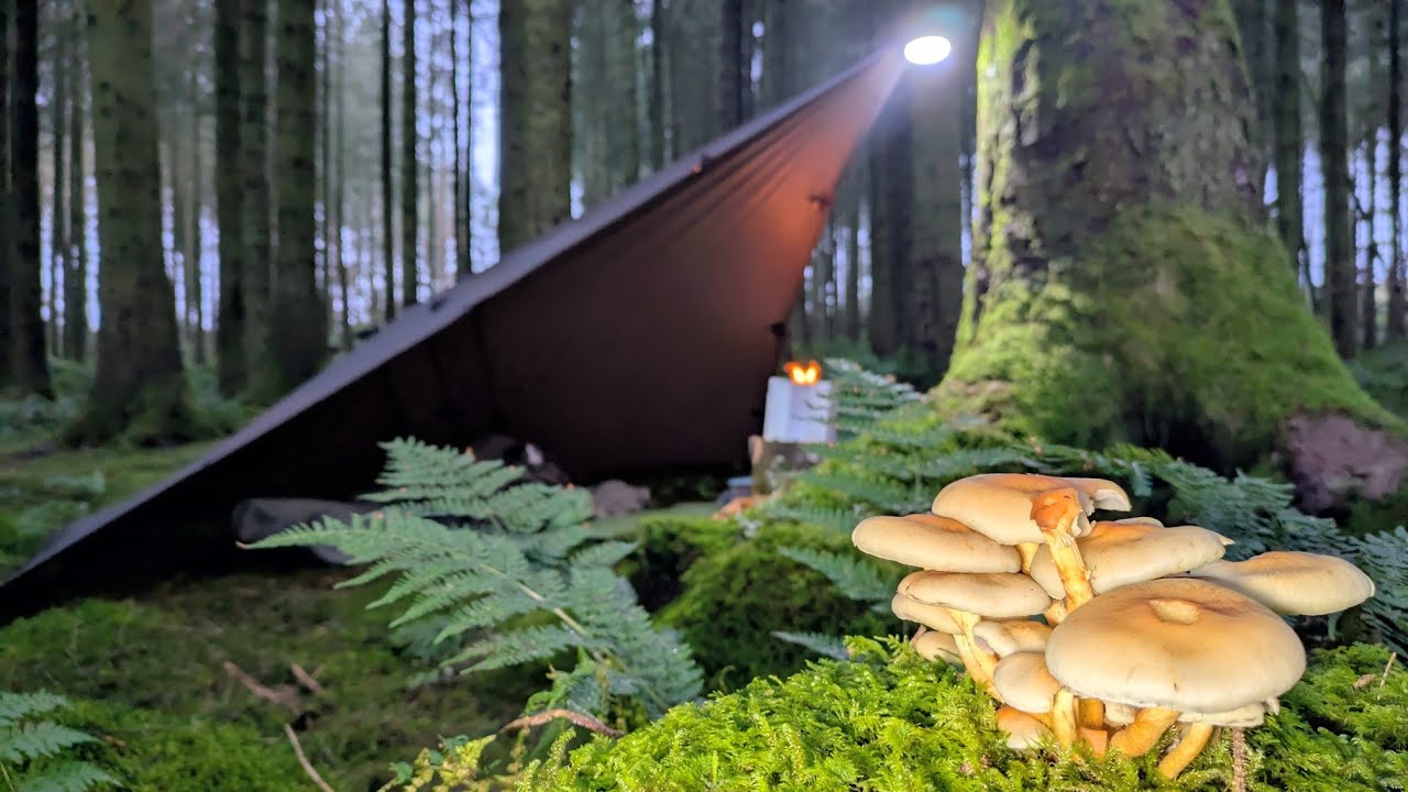 It Rained all Night • This Shelter kept us Dry and Warm.