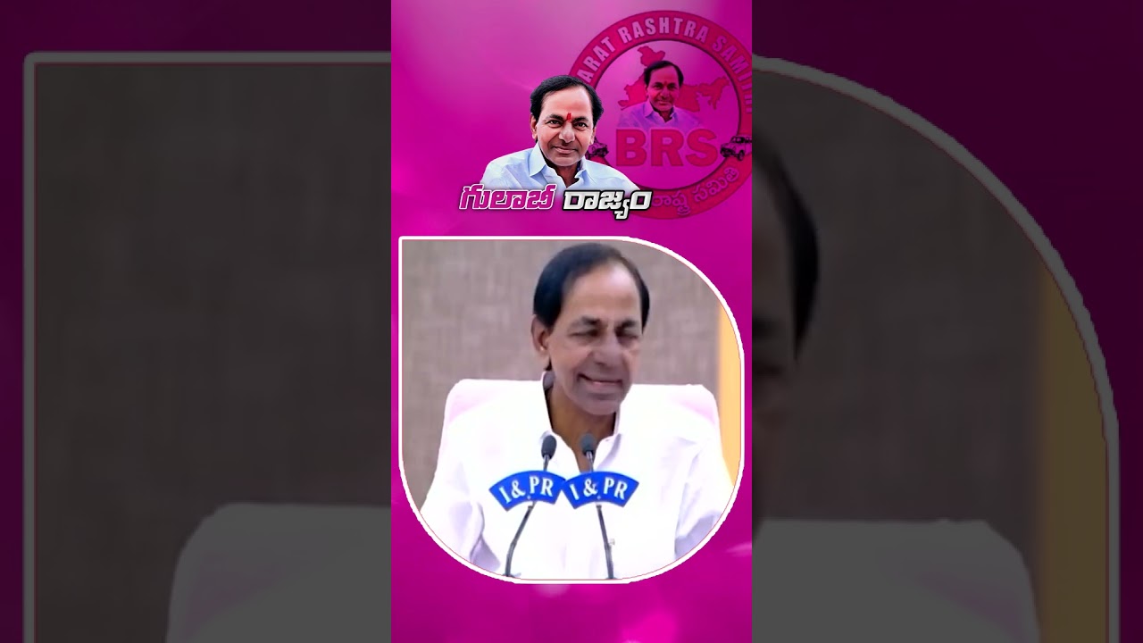 నువ్వు గోకకున్న నేను గోకుతూనే ఉంటా.. #KCR #KTR #Telangana #Gulabirajyam |  Gulabi Rajyam