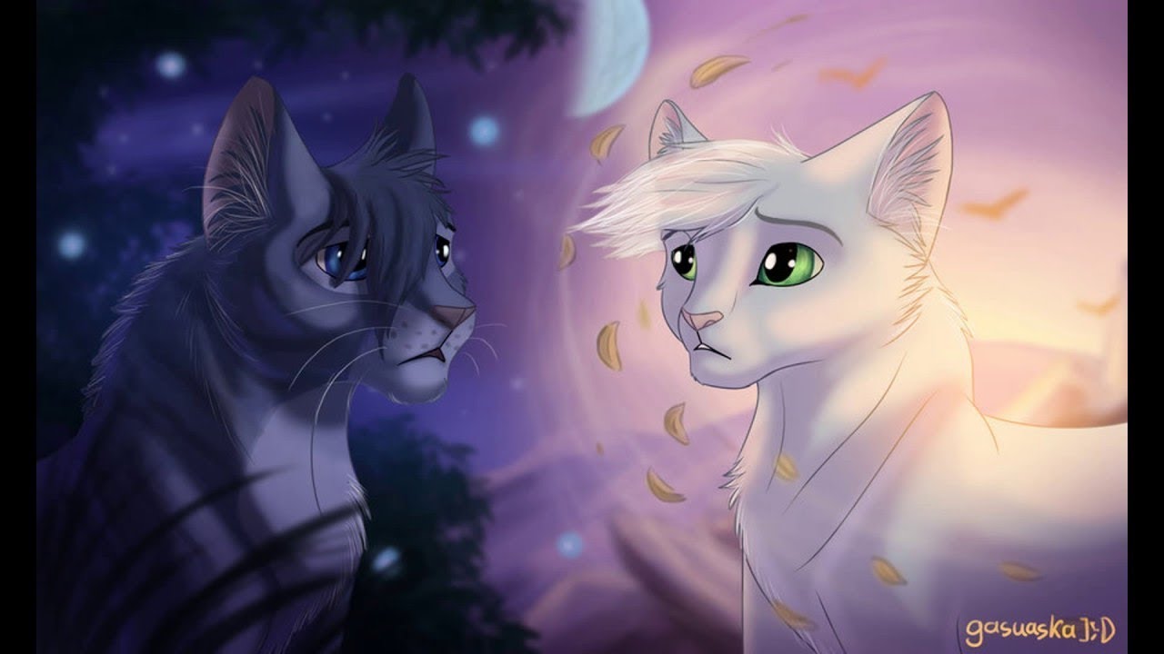 Warrior Cats Häherfeder und Halber Mond