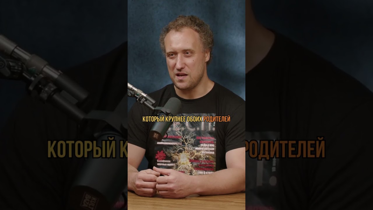 Лигр &mdash; гибрид льва и тигра #наука #генетика #биология